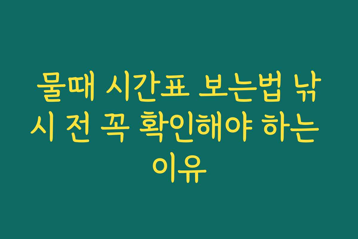 물때 시간표 보는법 낚시 전 꼭 확인해야 하는 이유