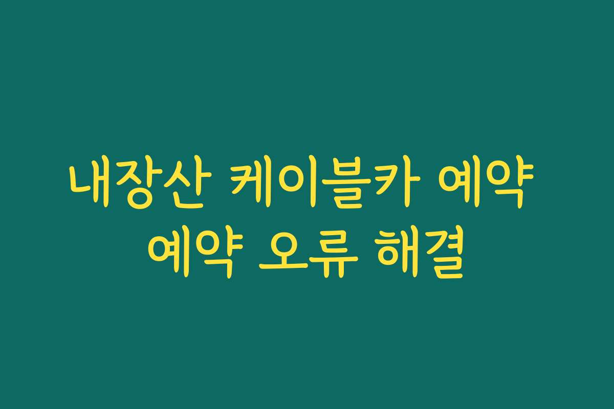 내장산 케이블카 예약 예약 오류 해결