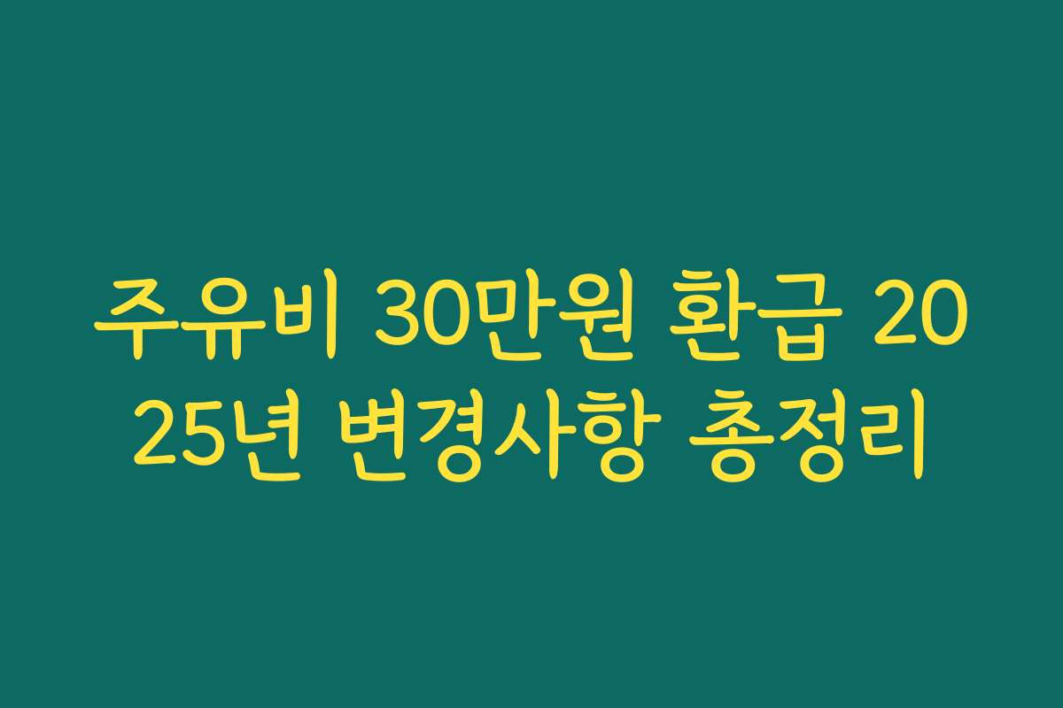 주유비 30만원 환급 2025년 변경사항 총정리