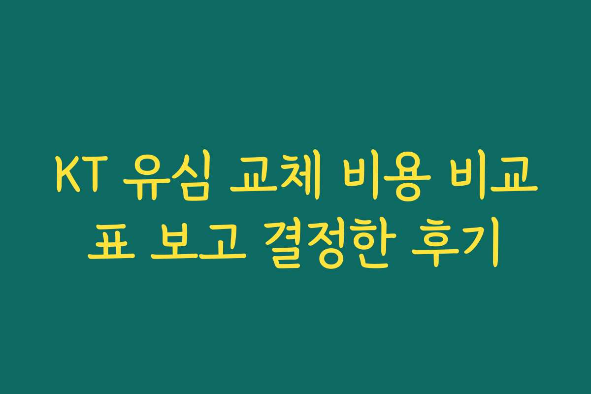 KT 유심 교체 비용 비교표 보고 결정한 후기