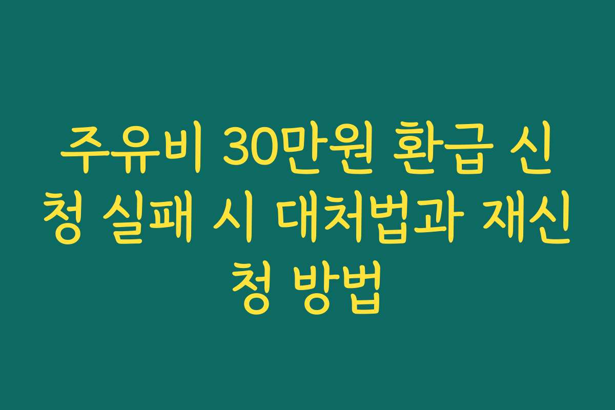 주유비 30만원 환급 신청 실패 시 대처법과 재신청 방법