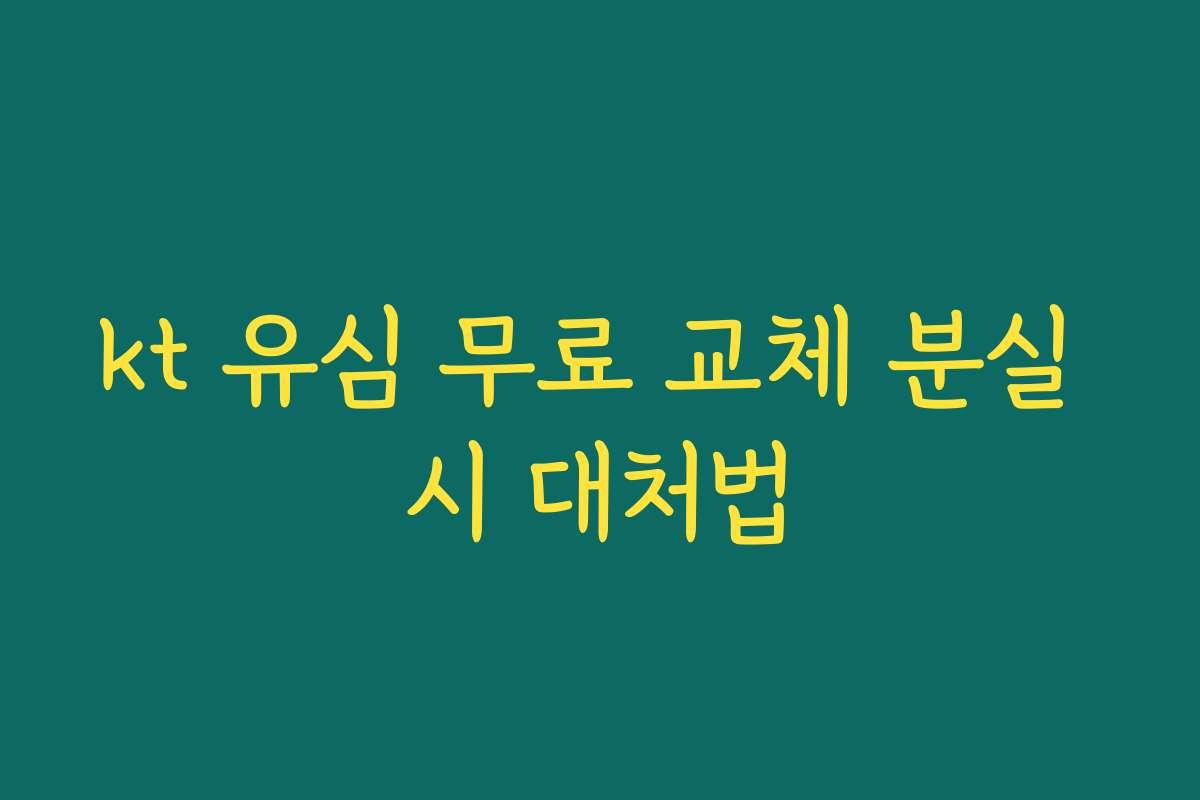 kt 유심 무료 교체 분실 시 대처법