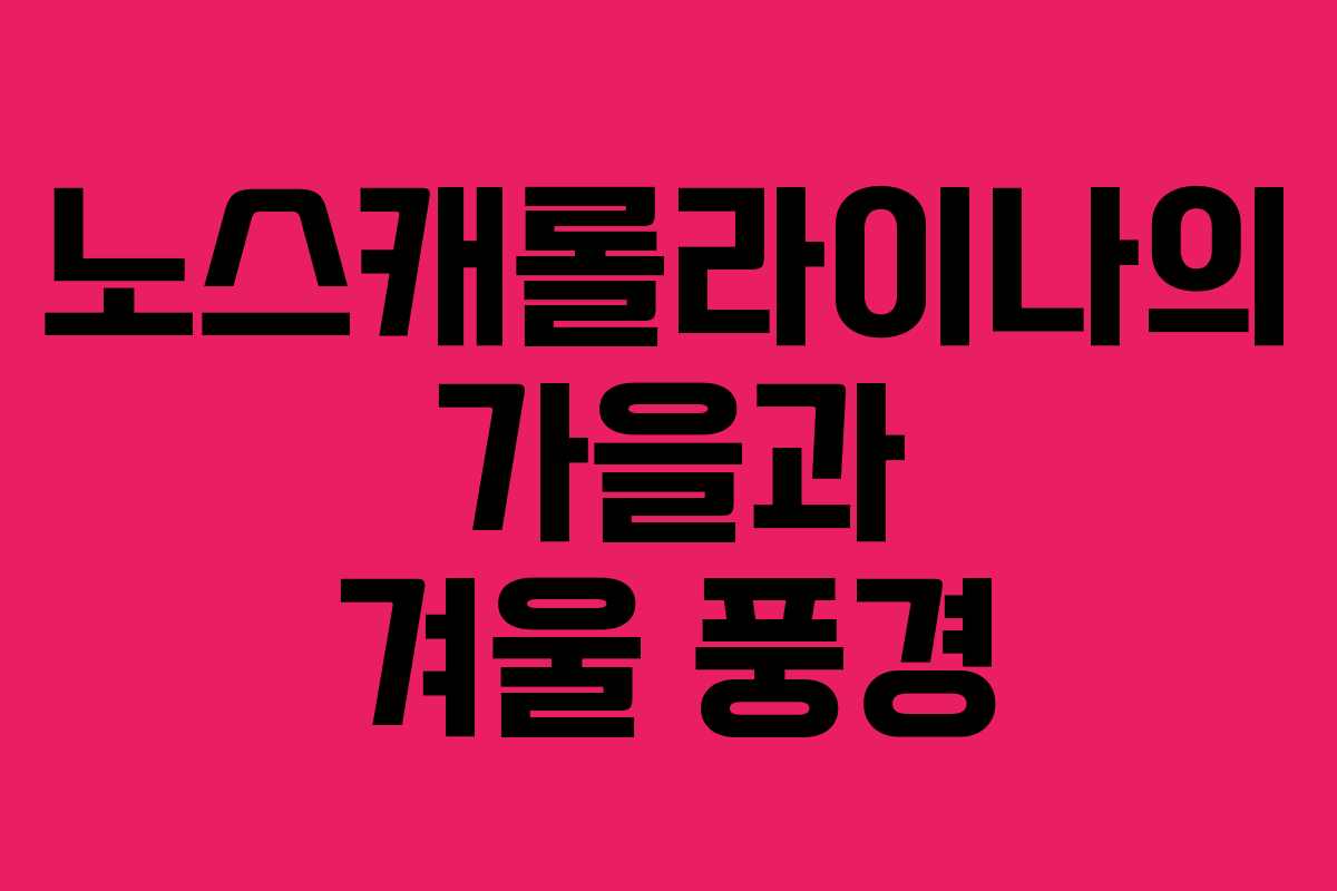 노스캐롤라이나의 가을과 겨울 풍경