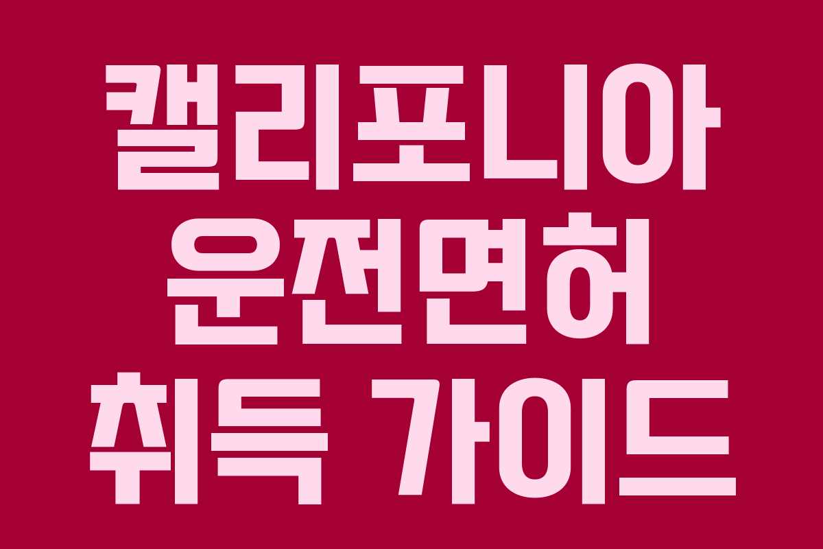 캘리포니아 운전면허 취득 가이드