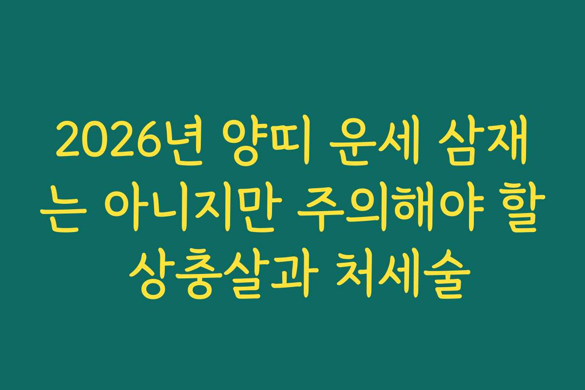 2026년 양띠 운세 삼재는 아니지만 주의해야 할 상충살과 처세술