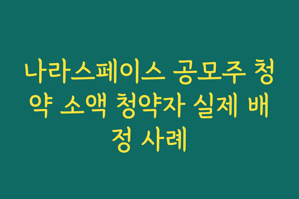 나라스페이스 공모주 청약 소액 청약자 실제 배정 사례