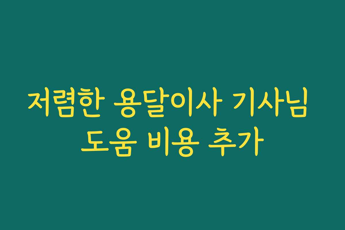 저렴한 용달이사 기사님 도움 비용 추가