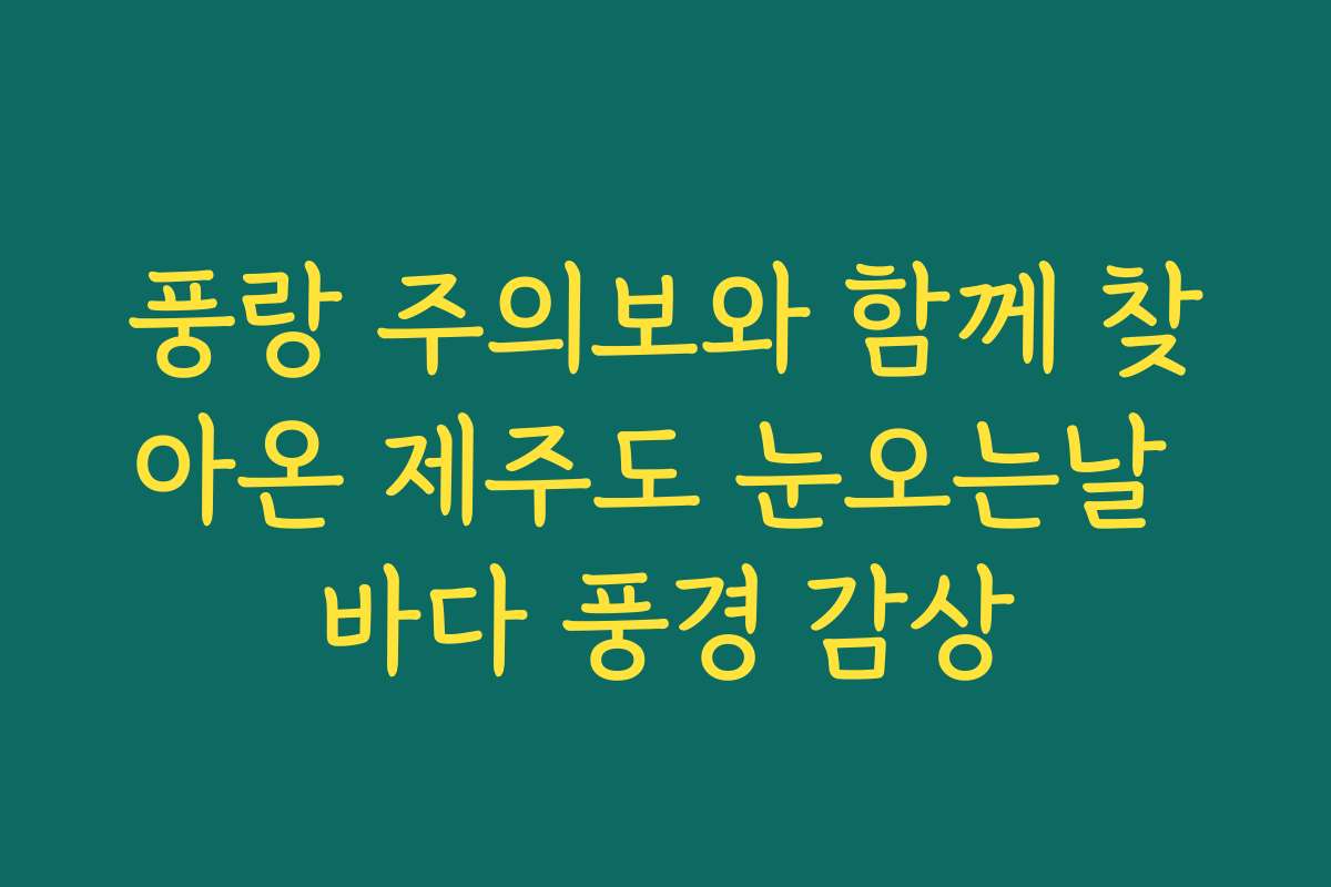 풍랑 주의보와 함께 찾아온 제주도 눈오는날 바다 풍경 감상