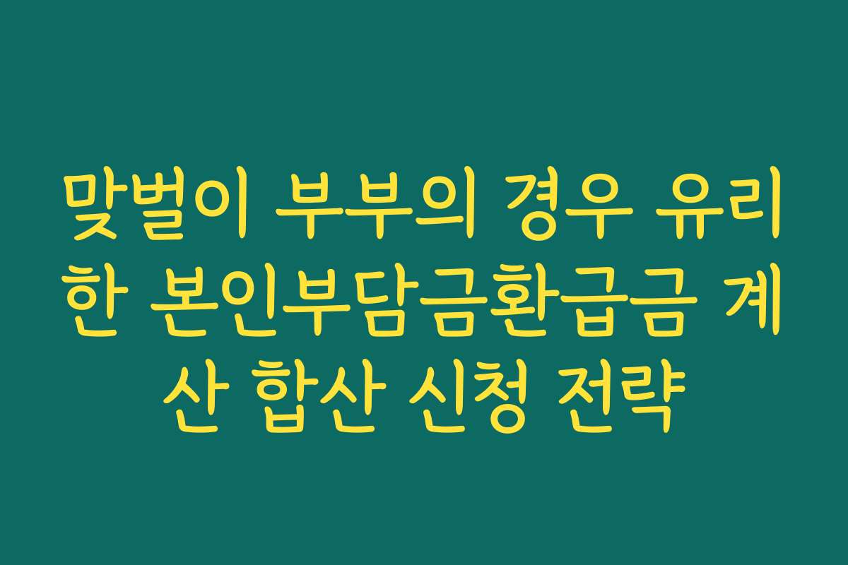 맞벌이 부부의 경우 유리한 본인부담금환급금 계산 합산 신청 전략