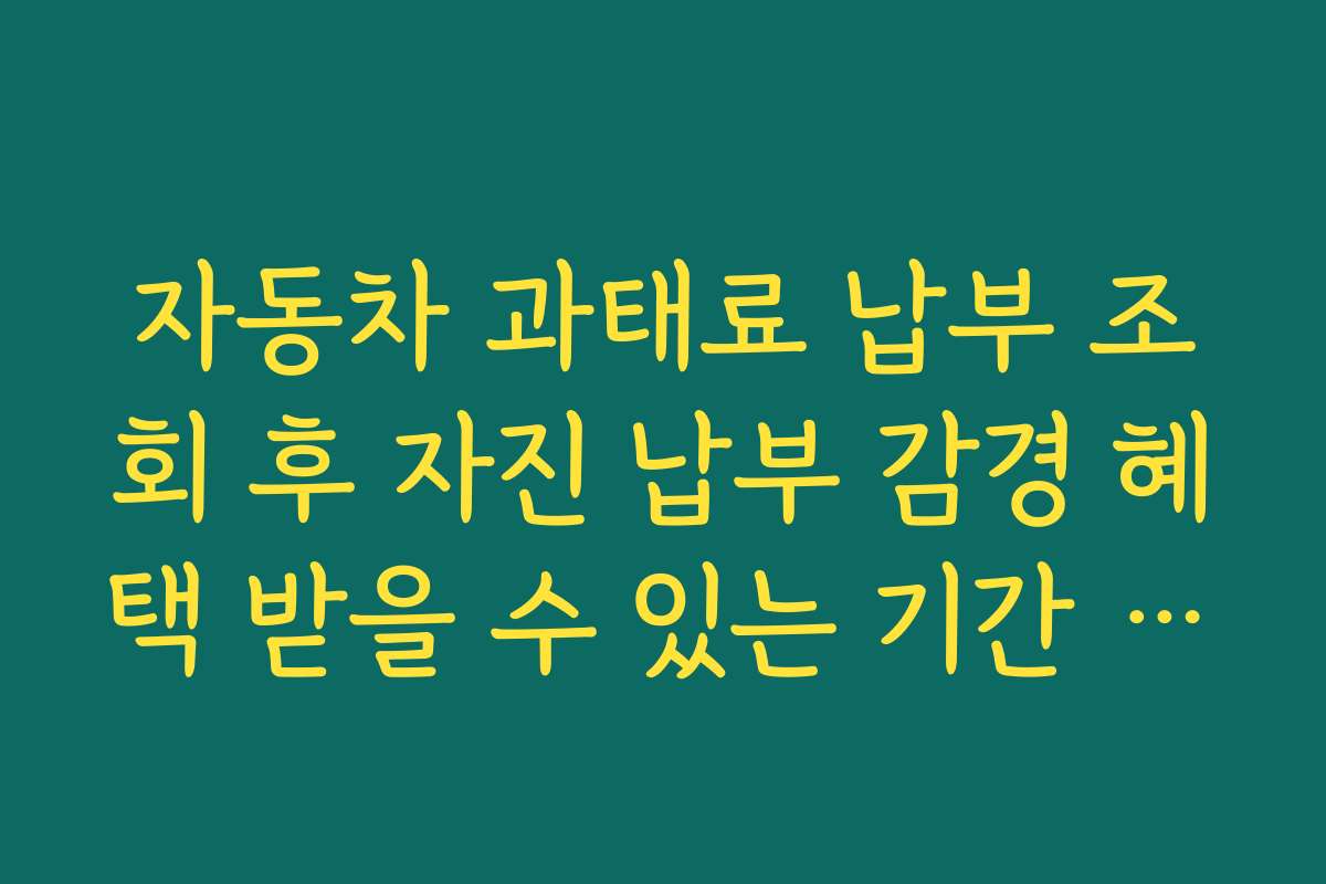 자동차 과태료 납부 조회 후 자진 납부 감경 혜택 받을 수 있는 기간 체크하기