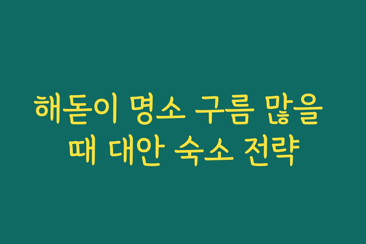 해돋이 명소 구름 많을 때 대안 숙소 전략