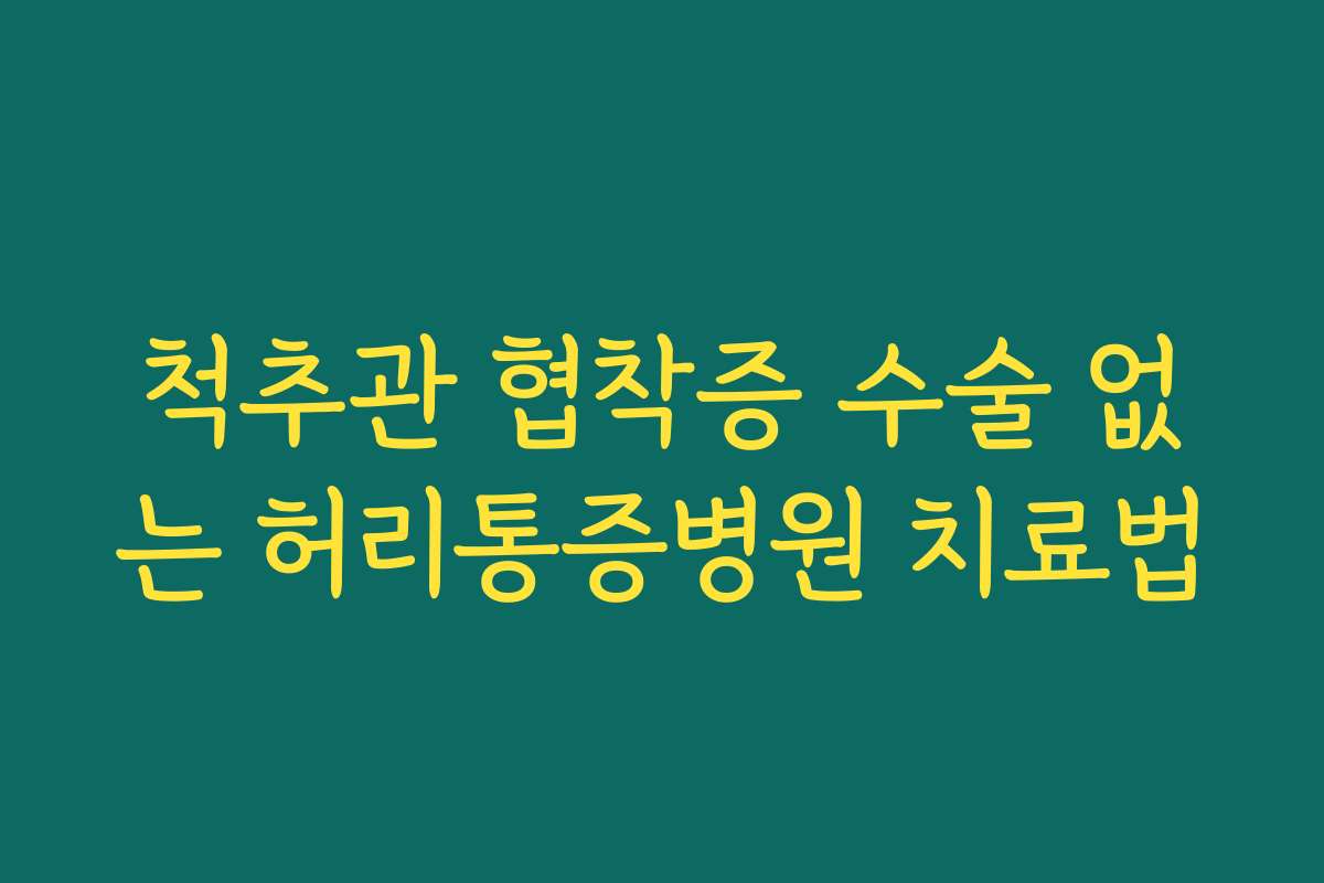 척추관 협착증 수술 없는 허리통증병원 치료법