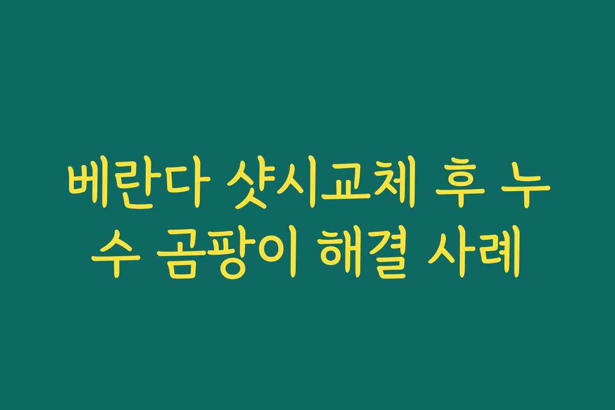 베란다 샷시교체 후 누수 곰팡이 해결 사례