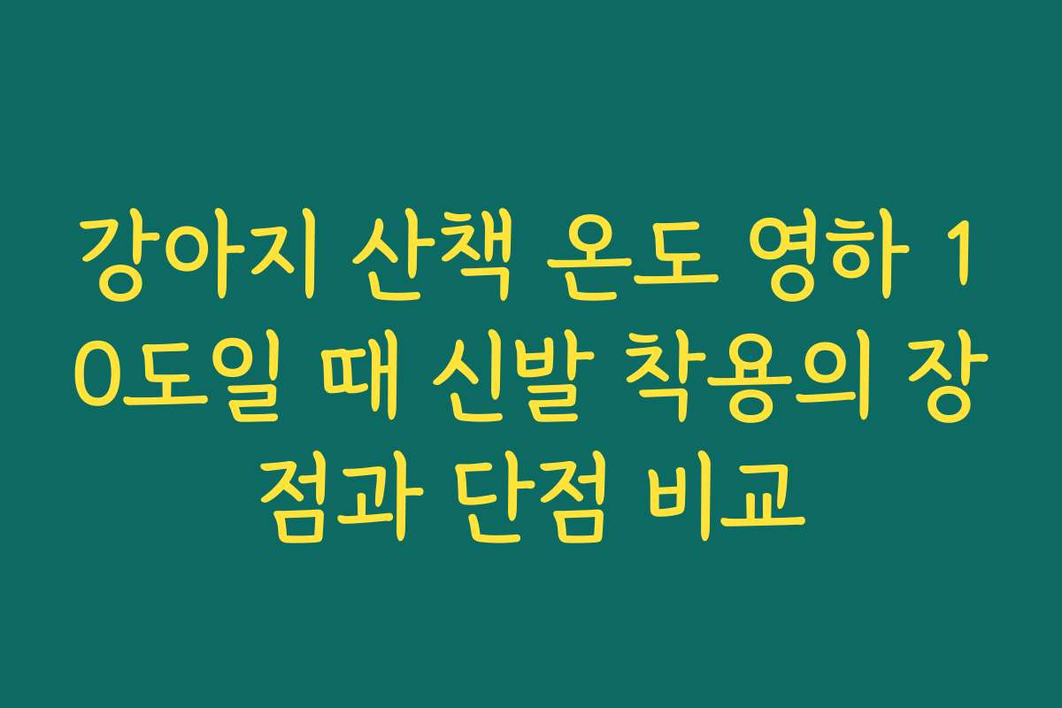 강아지 산책 온도 영하 10도일 때 신발 착용의 장점과 단점 비교