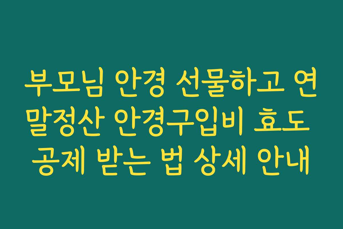부모님 안경 선물하고 연말정산 안경구입비 효도 공제 받는 법 상세 안내