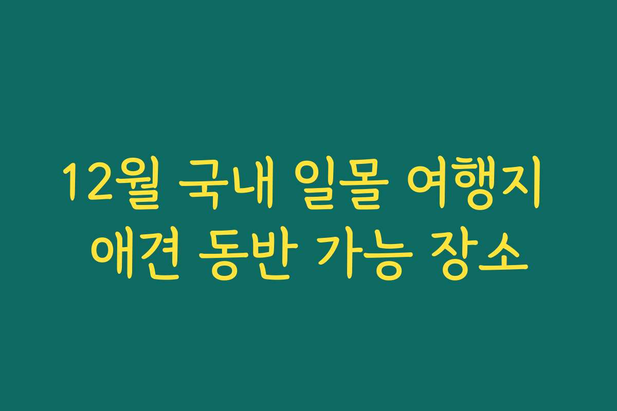 12월 국내 일몰 여행지 애견 동반 가능 장소