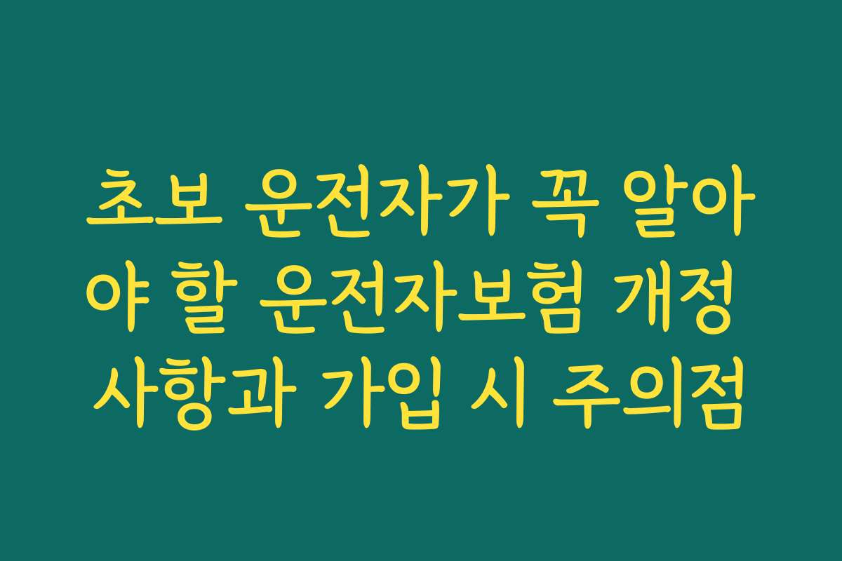 초보 운전자가 꼭 알아야 할 운전자보험 개정 사항과 가입 시 주의점