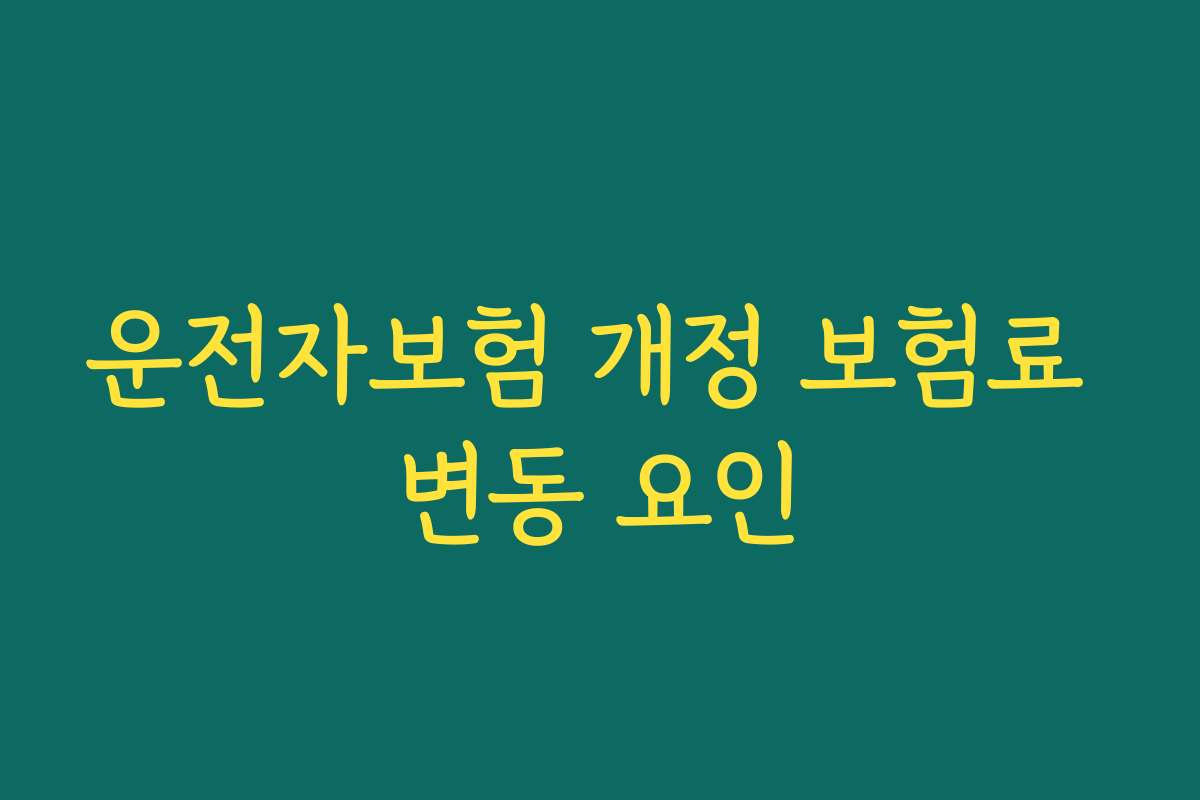 운전자보험 개정 보험료 변동 요인