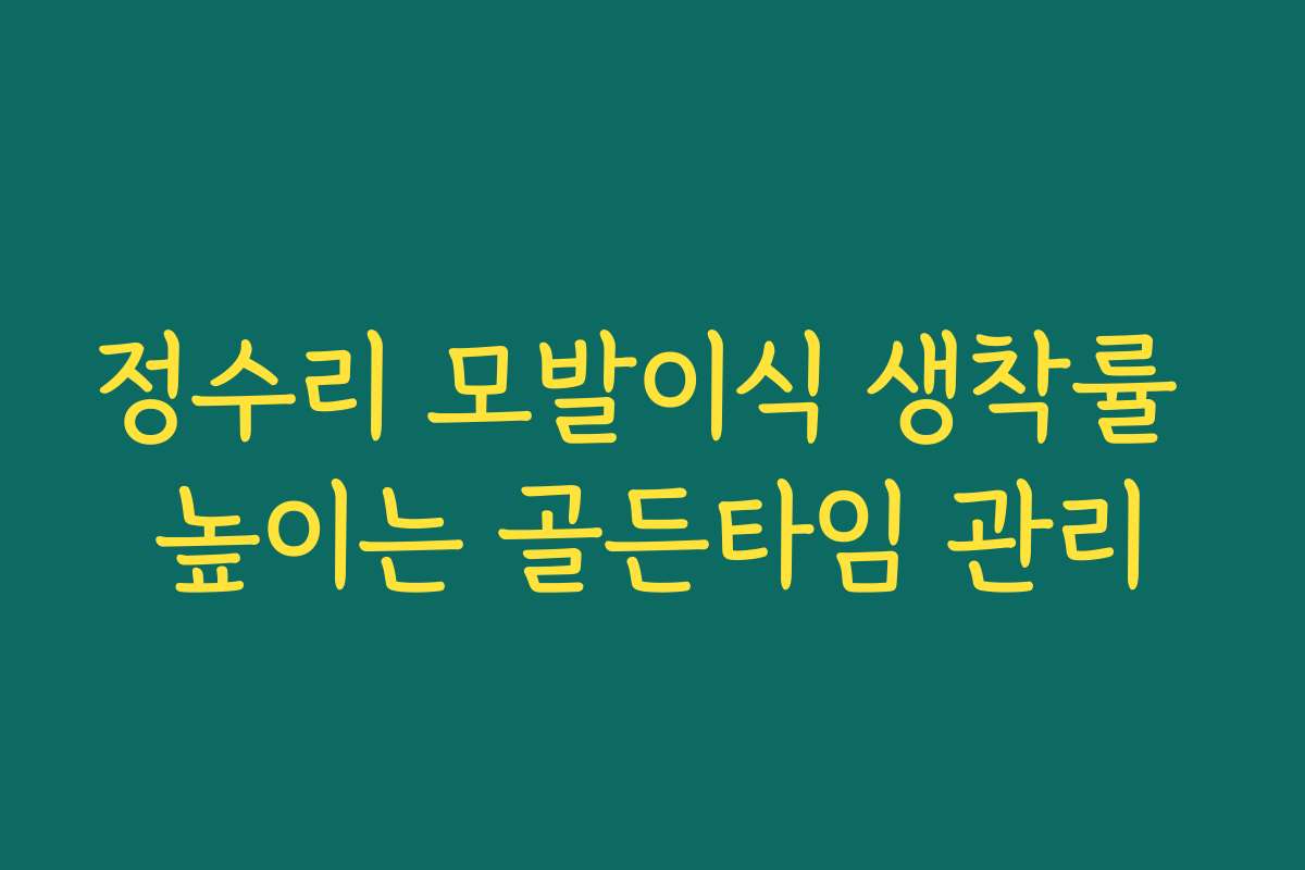 정수리 모발이식 생착률 높이는 골든타임 관리