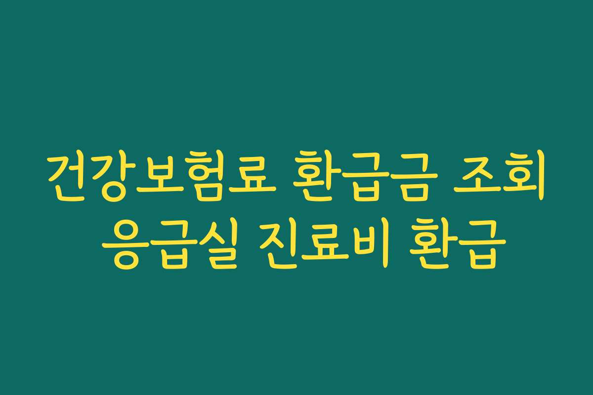 건강보험료 환급금 조회 응급실 진료비 환급