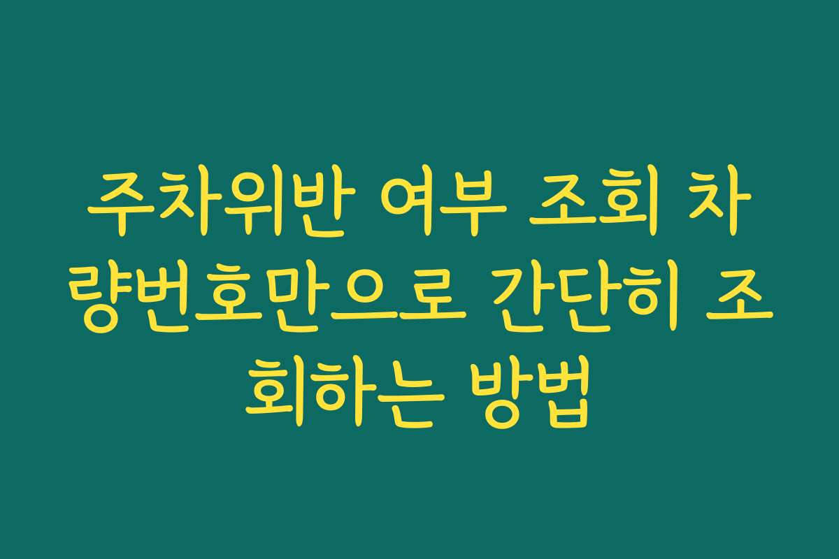 주차위반 여부 조회 차량번호만으로 간단히 조회하는 방법