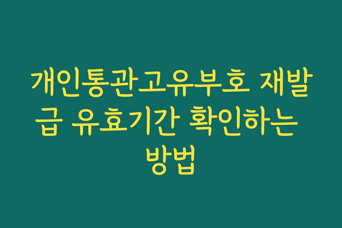 개인통관고유부호 재발급 유효기간 확인하는 방법