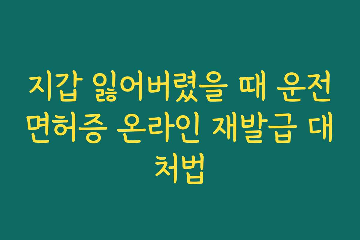 지갑 잃어버렸을 때 운전면허증 온라인 재발급 대처법