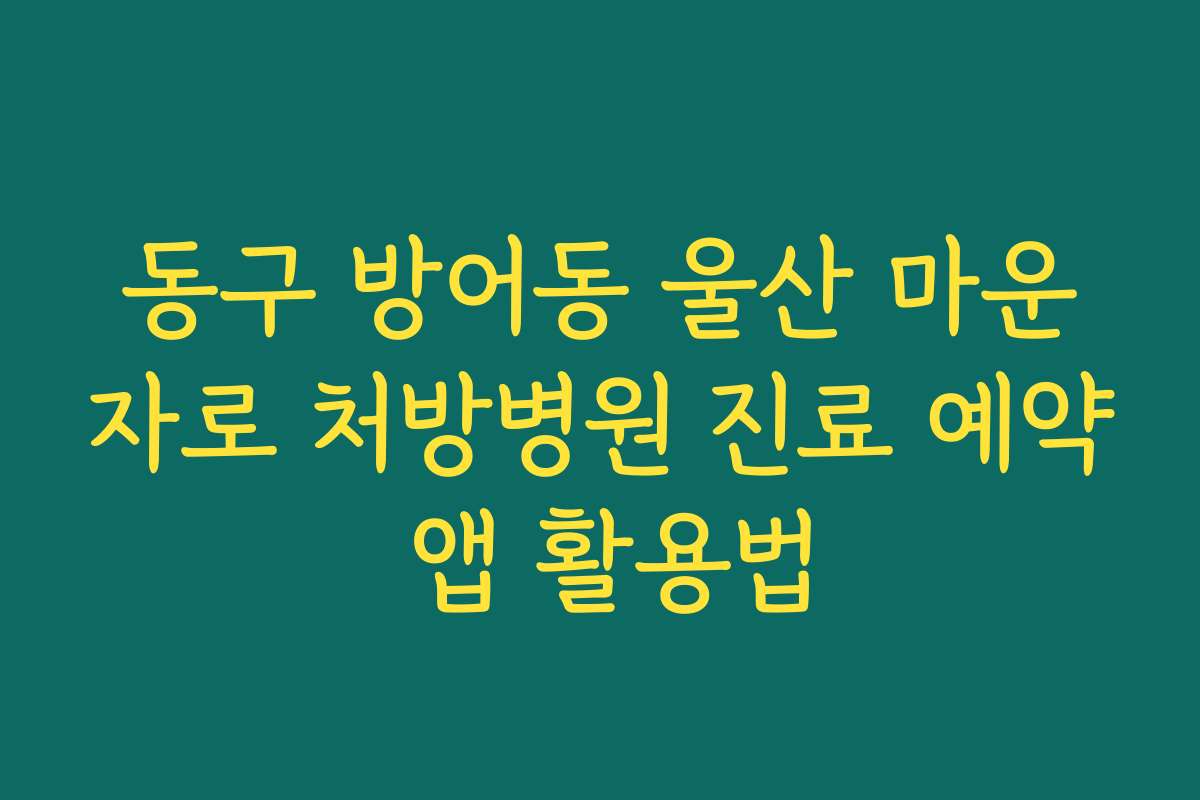 동구 방어동 울산 마운자로 처방병원 진료 예약 앱 활용법