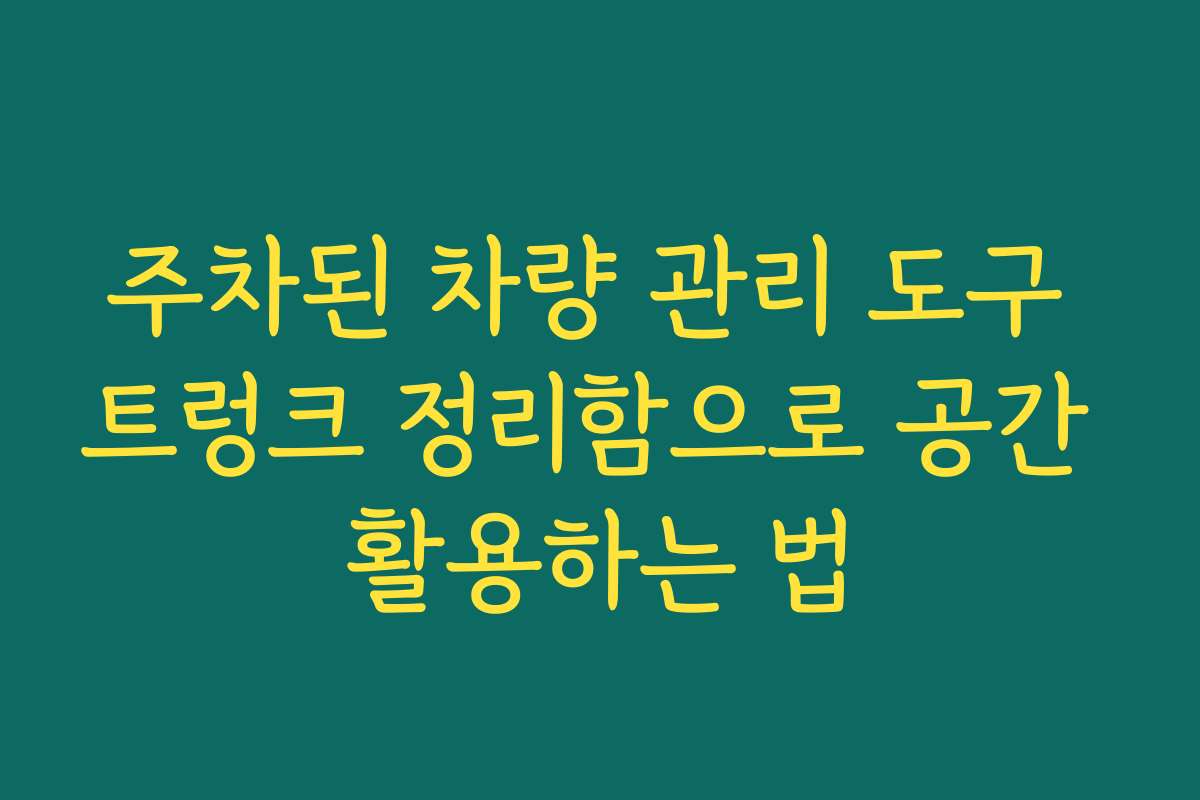 주차된 차량 관리 도구 트렁크 정리함으로 공간 활용하는 법