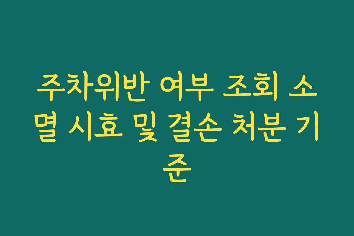 주차위반 여부 조회 소멸 시효 및 결손 처분 기준