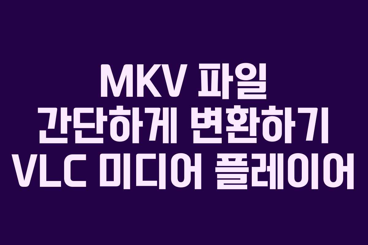 MKV 파일 간단하게 변환하기 VLC 미디어 플레이어