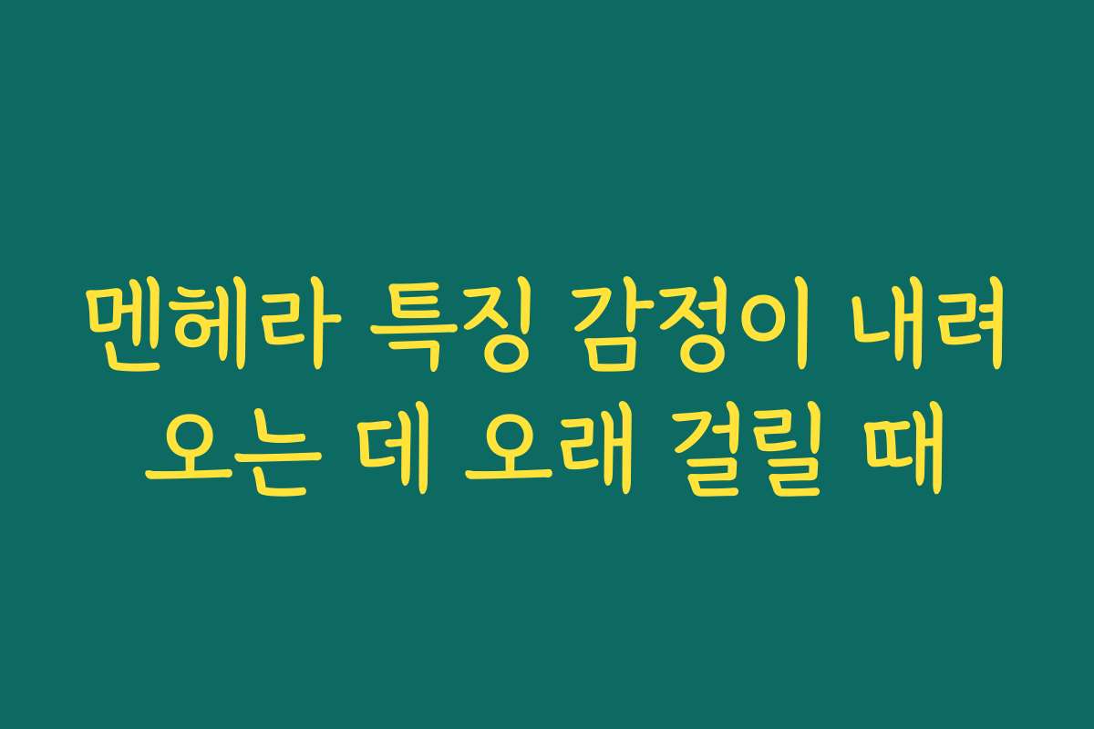 멘헤라 특징 감정이 내려오는 데 오래 걸릴 때