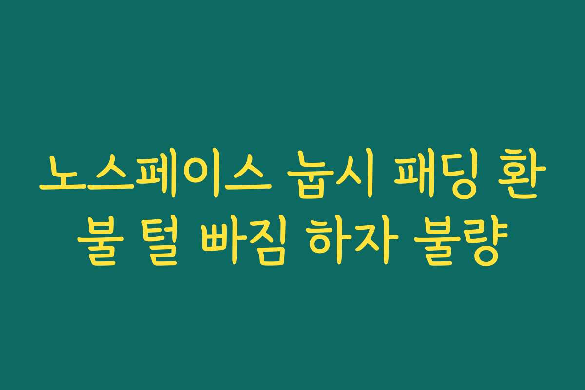 노스페이스 눕시 패딩 환불 털 빠짐 하자 불량