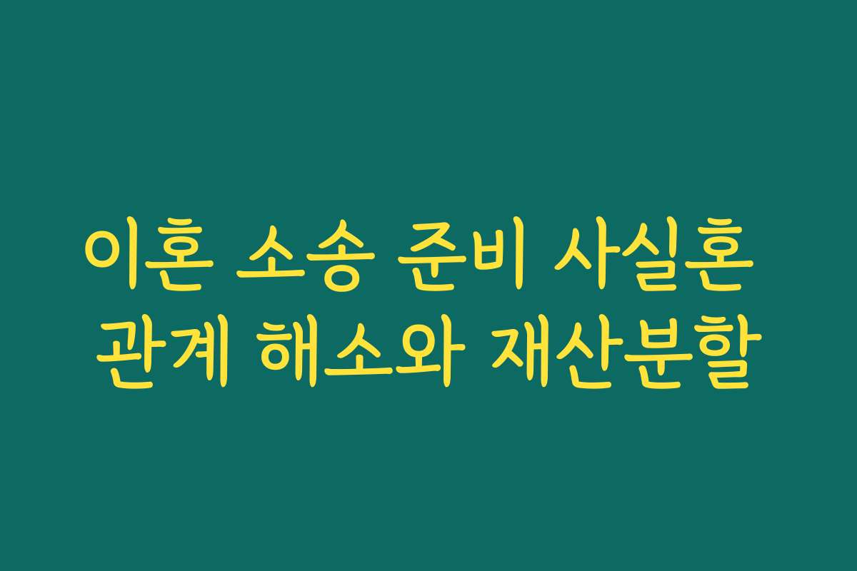 이혼 소송 준비 사실혼 관계 해소와 재산분할