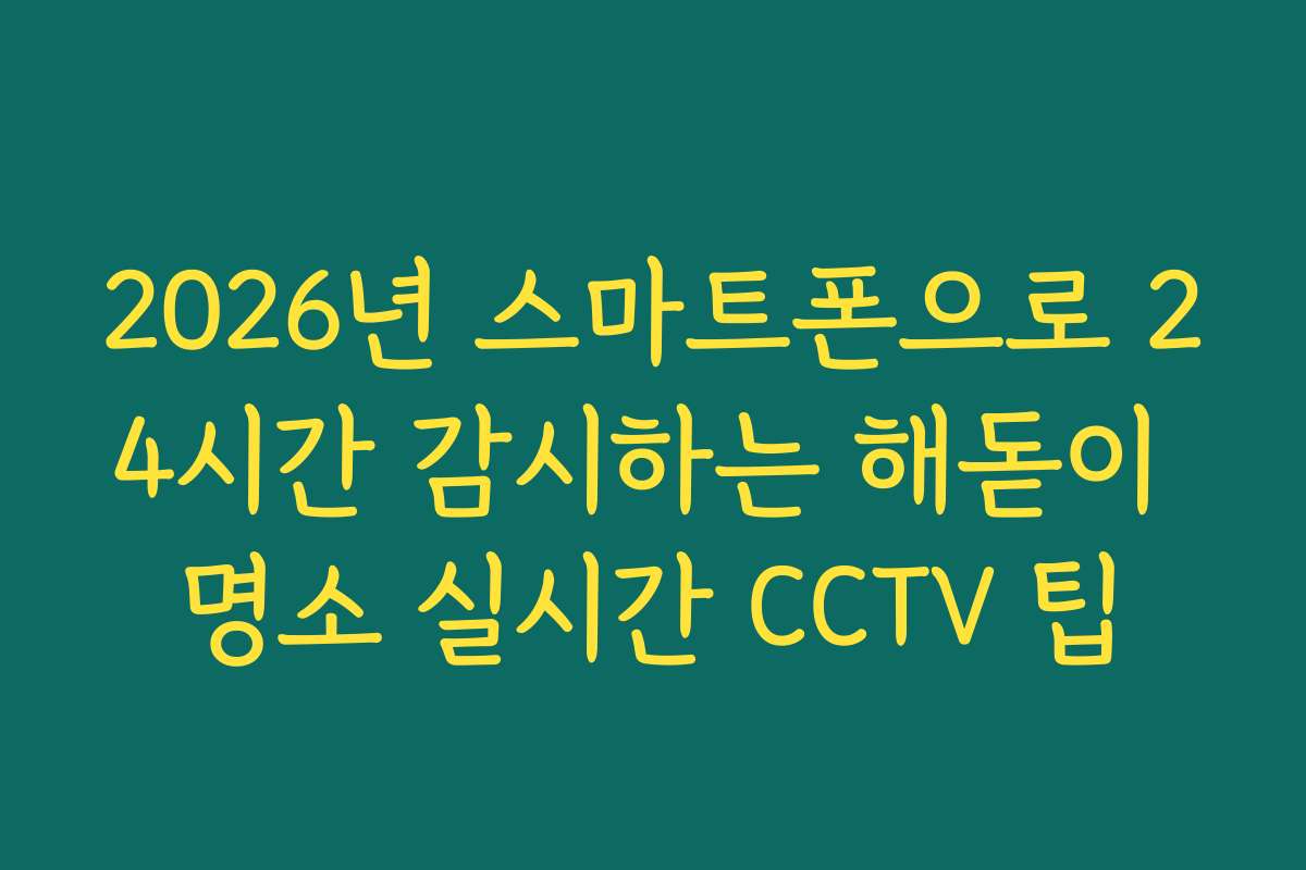 2026년 스마트폰으로 24시간 감시하는 해돋이 명소 실시간 CCTV 팁