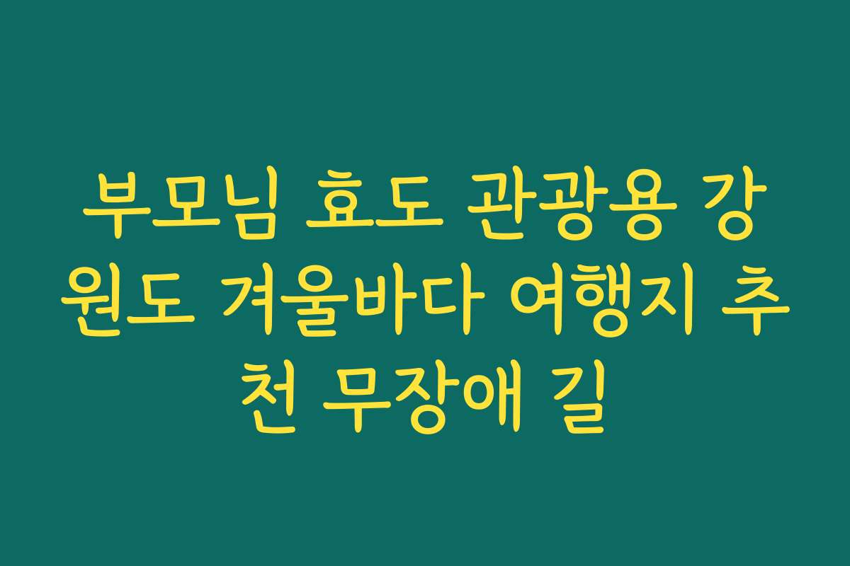 부모님 효도 관광용 강원도 겨울바다 여행지 추천 무장애 길