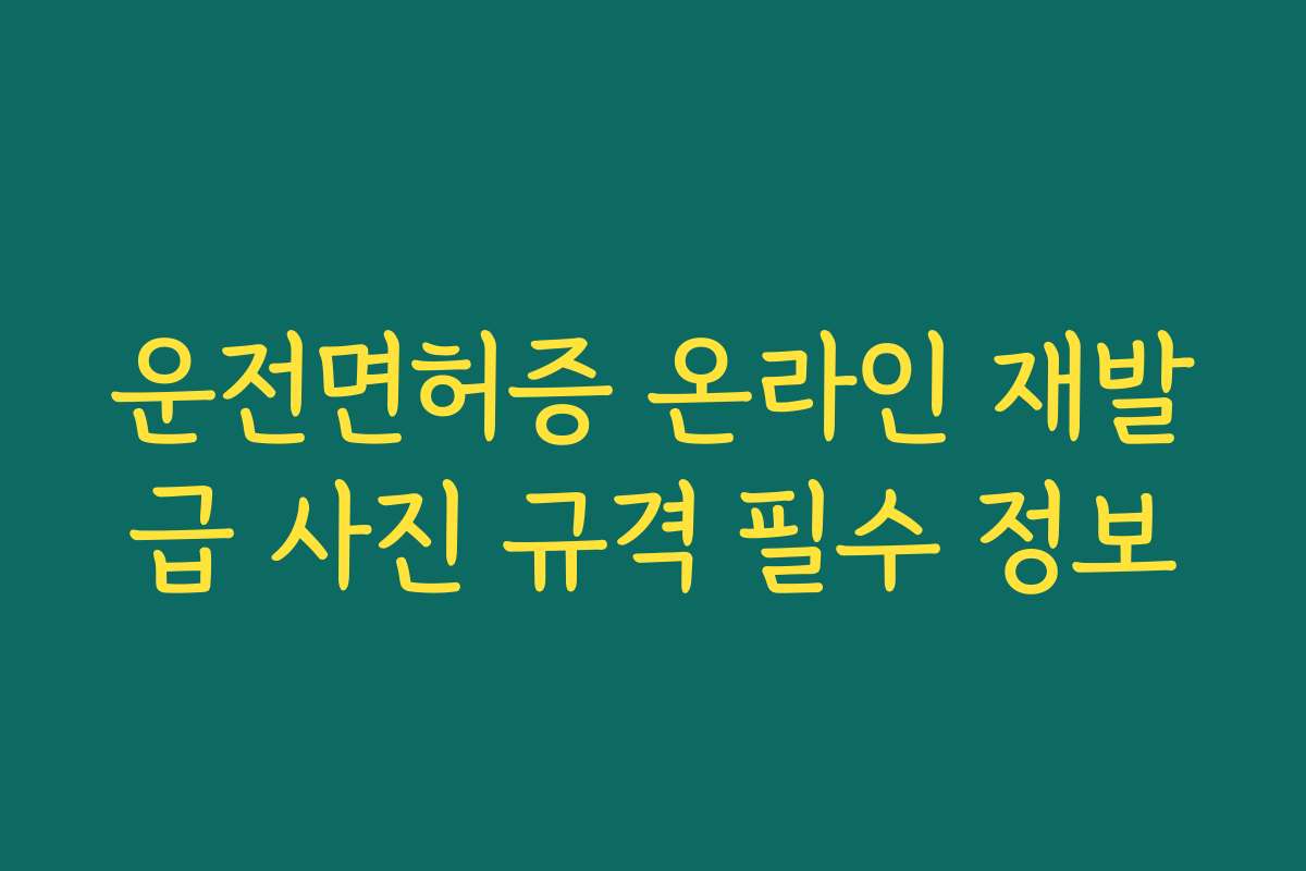 운전면허증 온라인 재발급 사진 규격 필수 정보