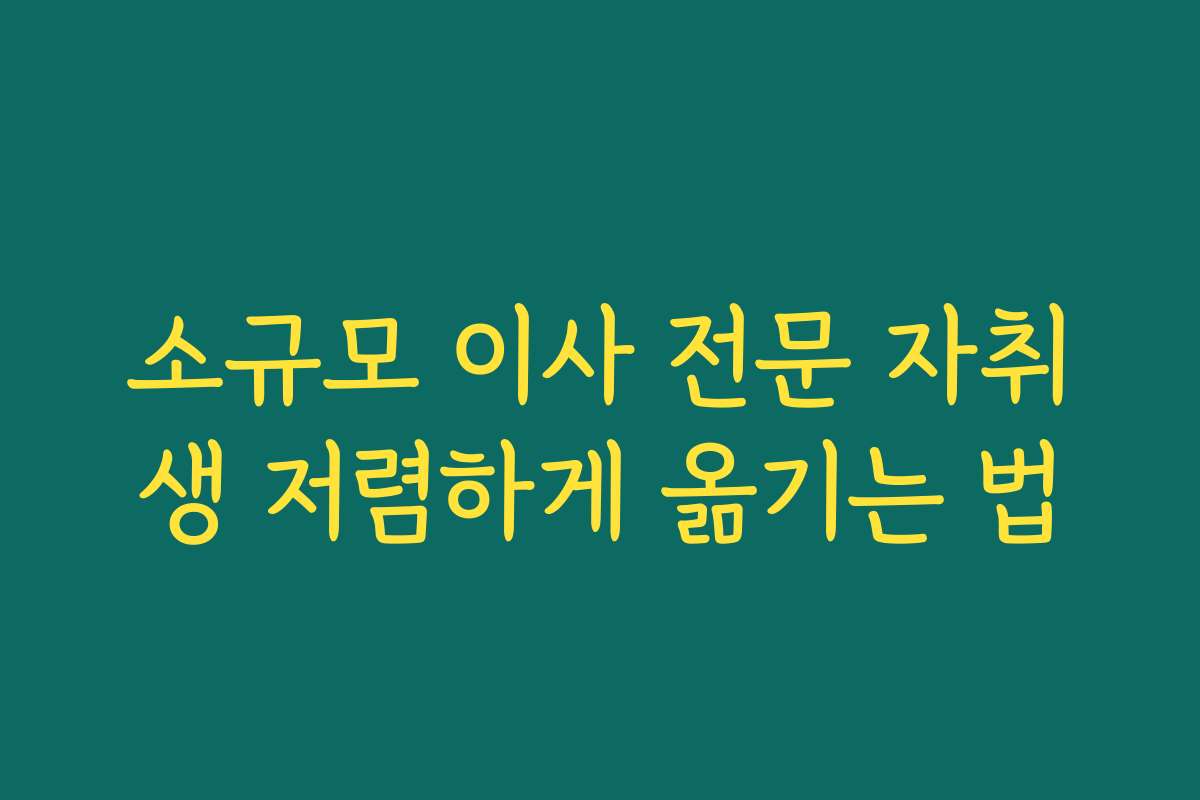 소규모 이사 전문 자취생 저렴하게 옮기는 법