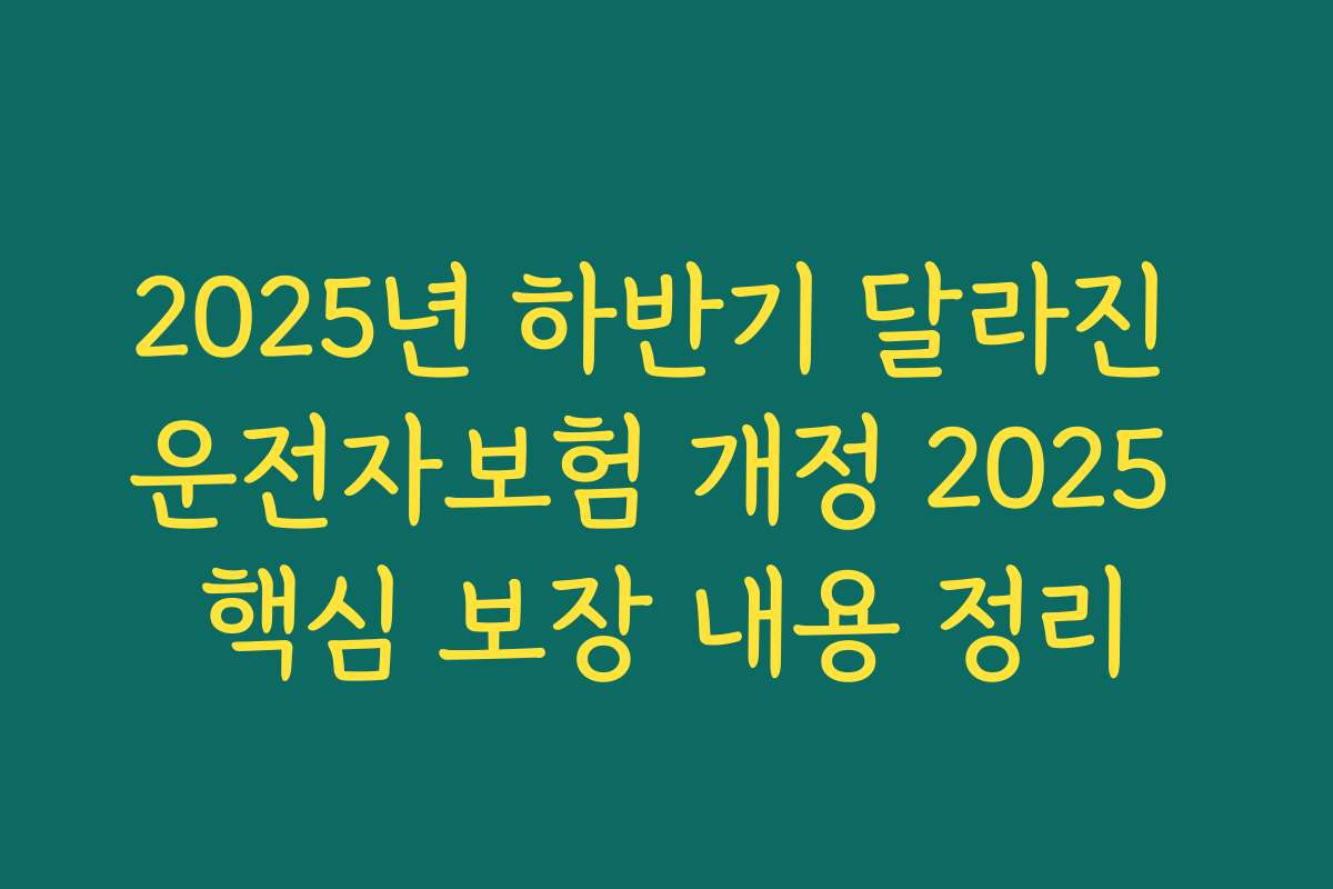 2025년 하반기 달라진 운전자보험 개정 2025 핵심 보장 내용 정리