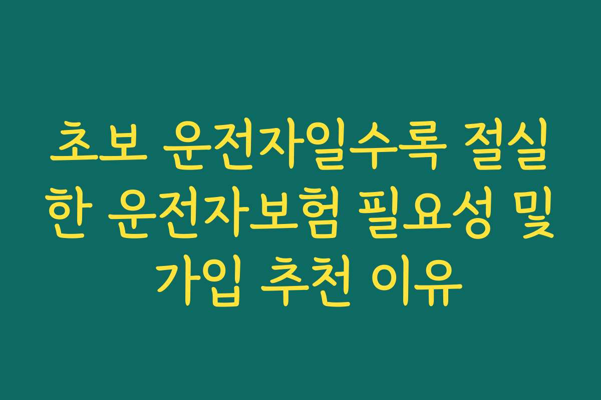 초보 운전자일수록 절실한 운전자보험 필요성 및 가입 추천 이유