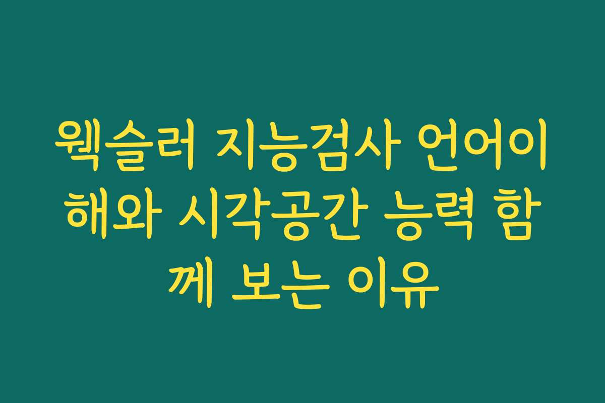 웩슬러 지능검사 언어이해와 시각공간 능력 함께 보는 이유