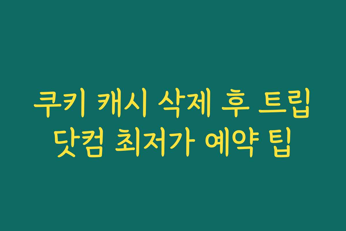쿠키 캐시 삭제 후 트립닷컴 최저가 예약 팁