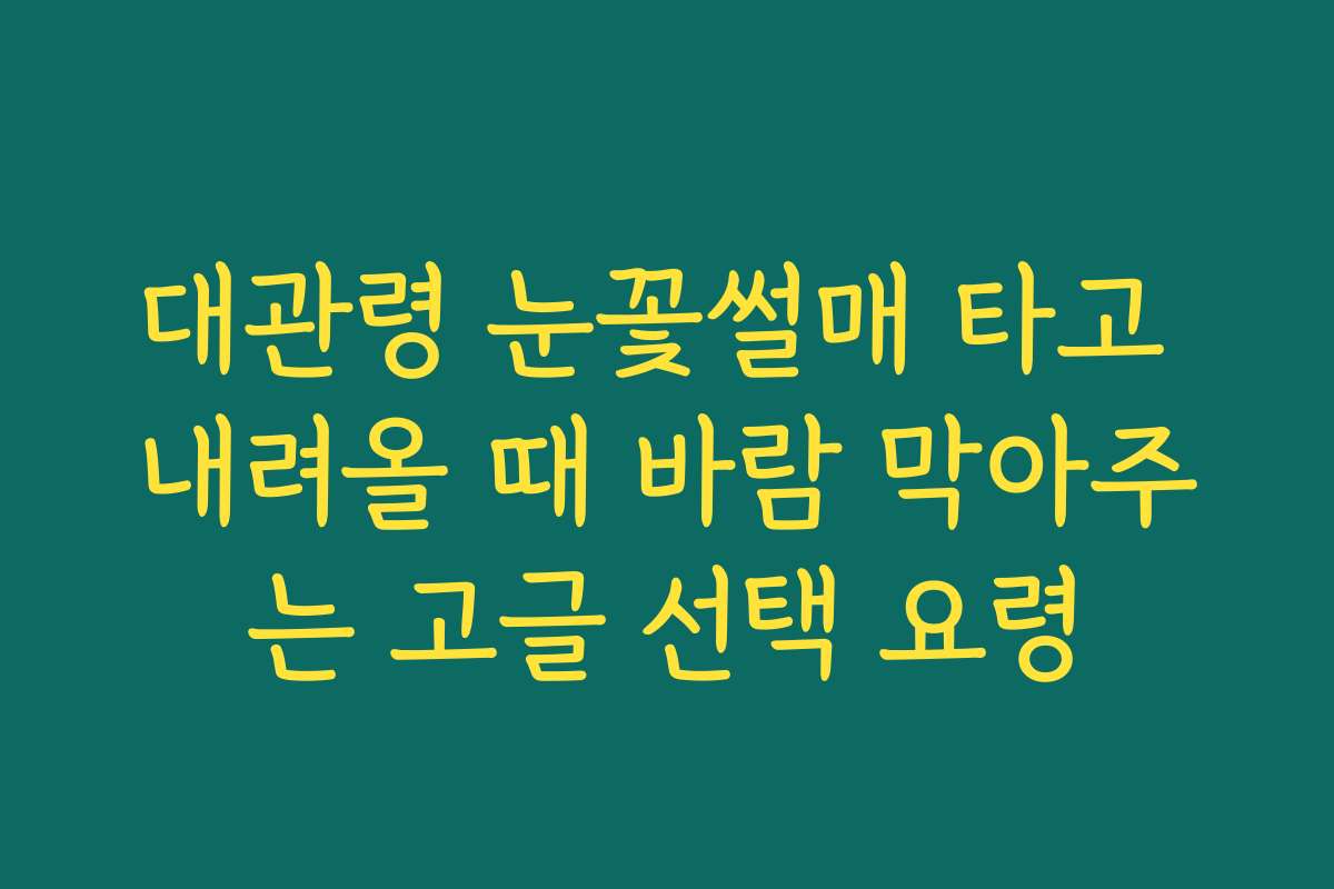 대관령 눈꽃썰매 타고 내려올 때 바람 막아주는 고글 선택 요령