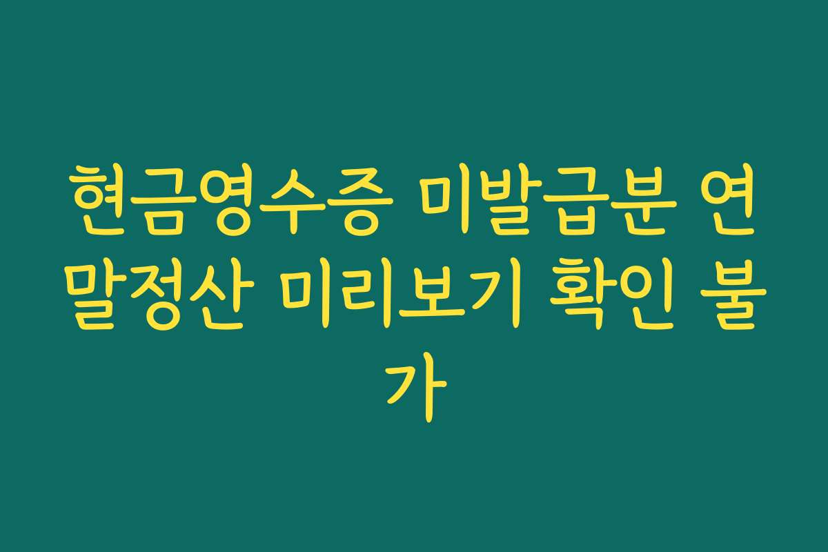 현금영수증 미발급분 연말정산 미리보기 확인 불가