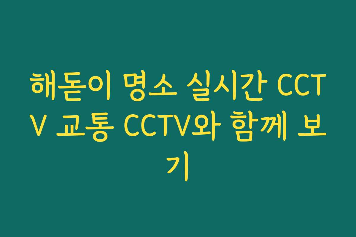 해돋이 명소 실시간 CCTV 교통 CCTV와 함께 보기