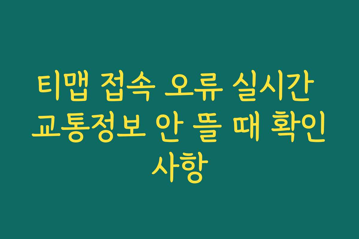 티맵 접속 오류 실시간 교통정보 안 뜰 때 확인사항