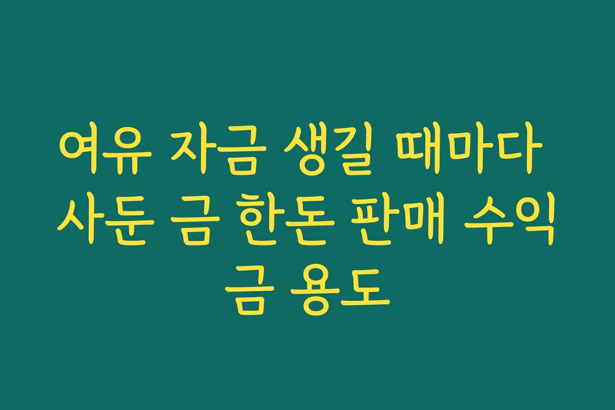 여유 자금 생길 때마다 사둔 금 한돈 판매 수익금 용도