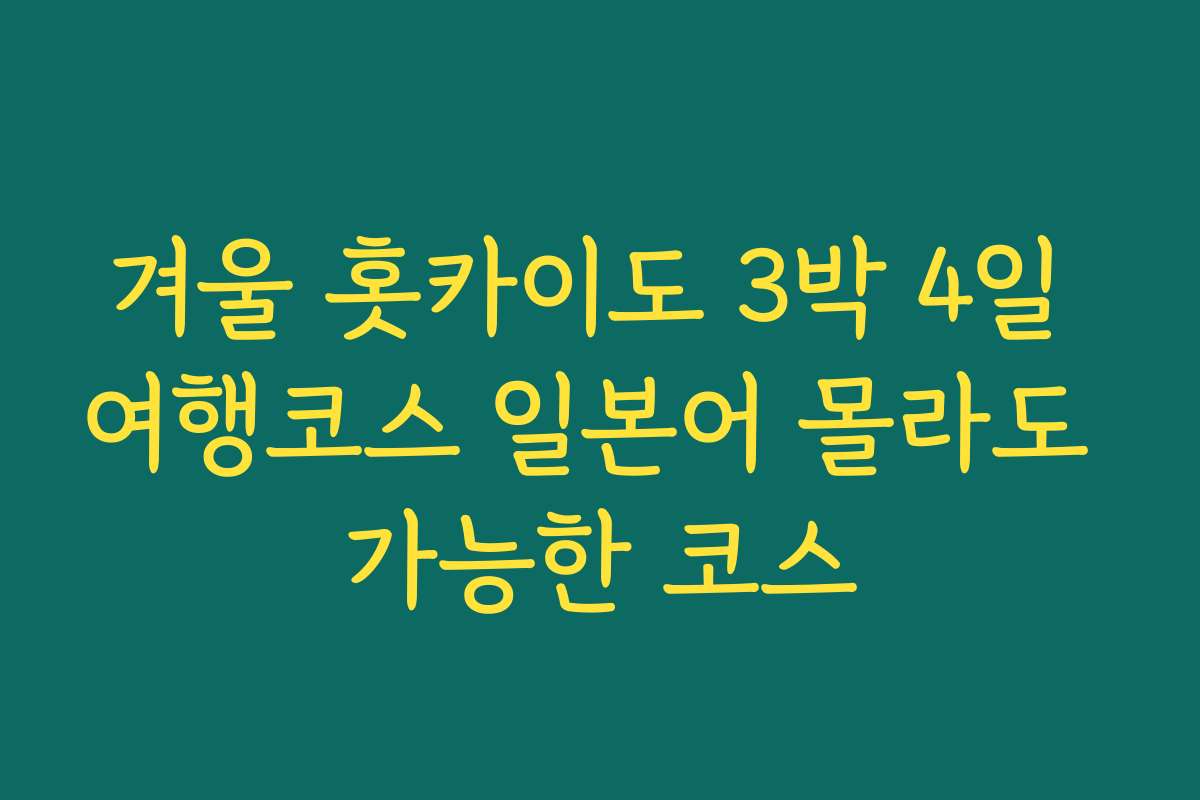 겨울 홋카이도 3박 4일 여행코스 일본어 몰라도 가능한 코스