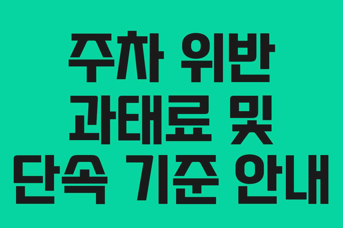 주차 위반 과태료 및 단속 기준 안내
