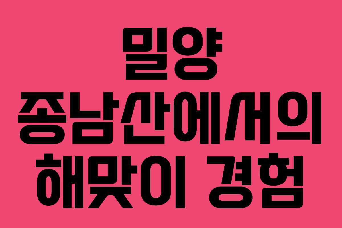 밀양 종남산에서의 해맞이 경험